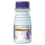 DYNASTY CST - 30 ML
