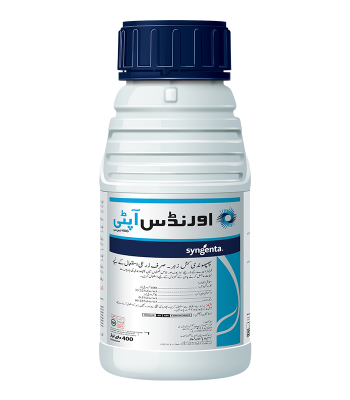Orondis Opti 40.6 Best Fungicide by Naya Savera