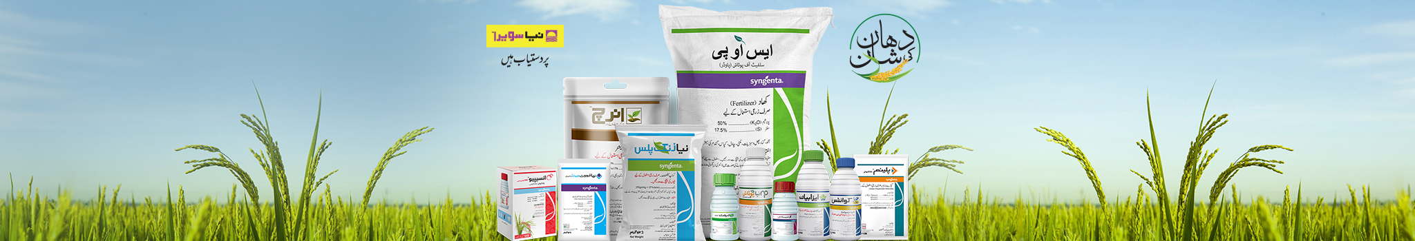 2048×350-12-aug-2025-3 (1) - Naya Sawera Pakistan