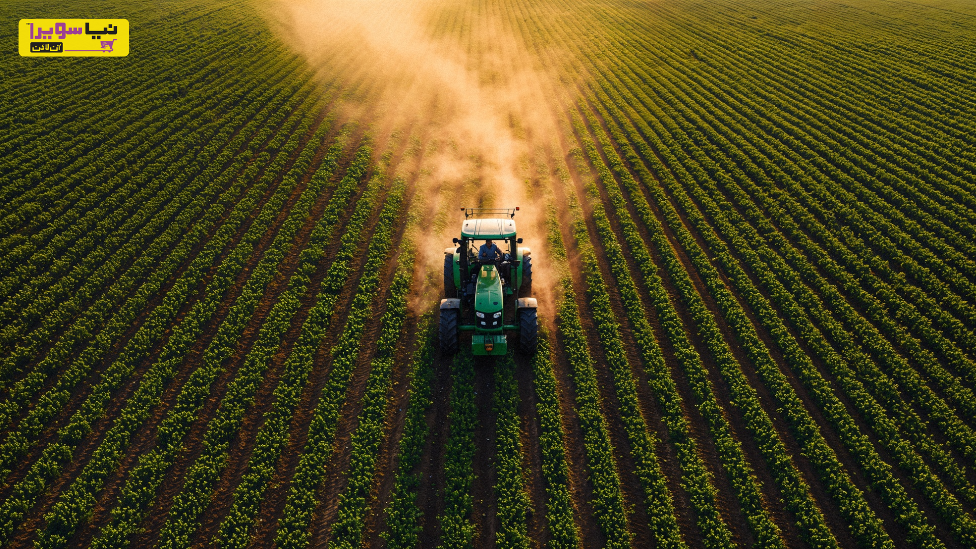 A Complete Guide Top Herbicide Solutions for High-Yield Crops