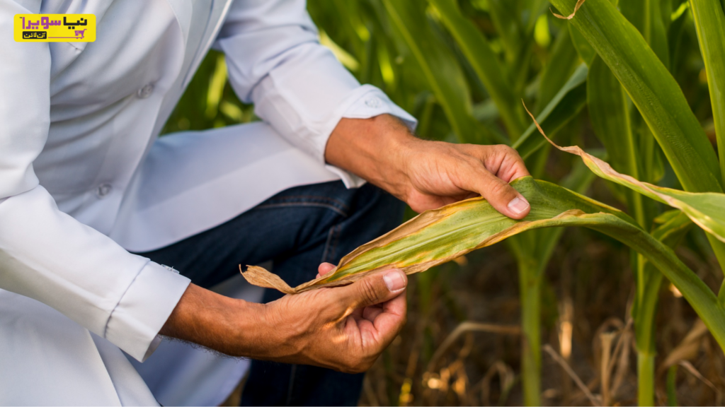 Complete Buying Guide for Crop Protection Products