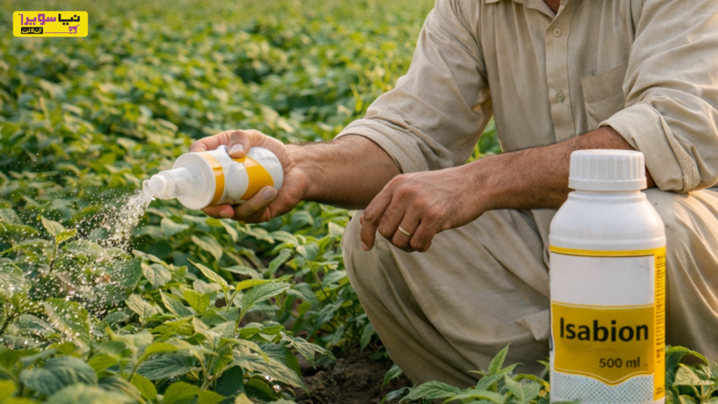 How Plant Growth Bio-Stimulants Improve Crop Health and Yield