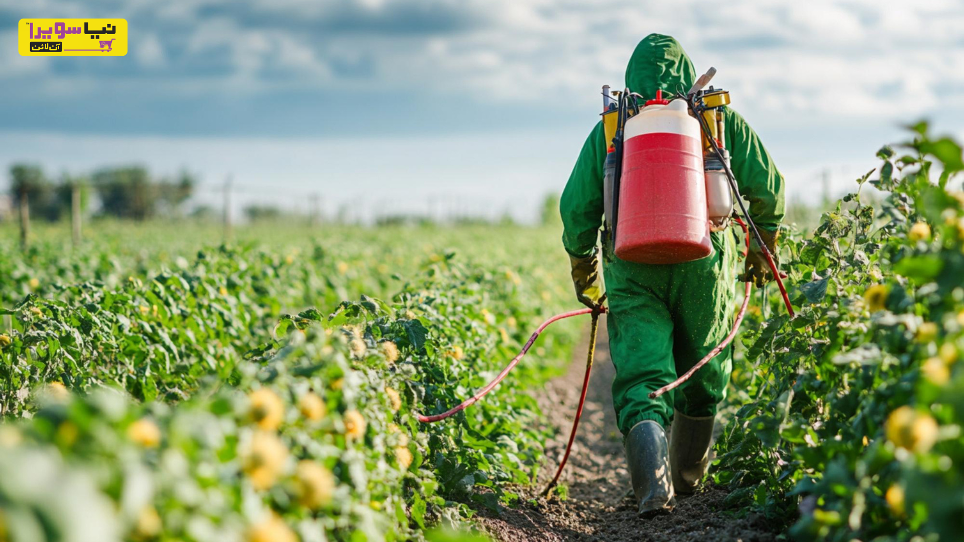 What Is a Fungicide and When Should You Use It
